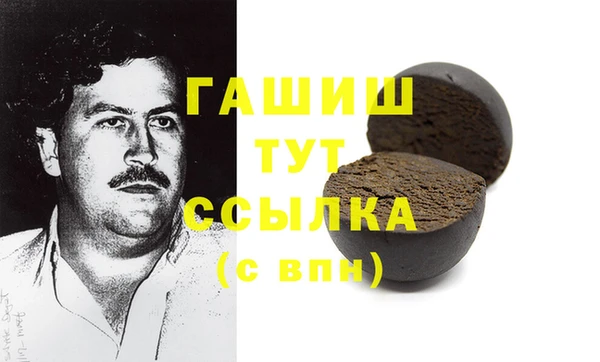 гашик Алексин