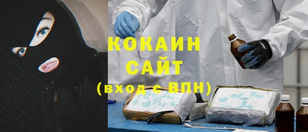 гашик Алексин