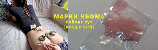 гашик Алексин