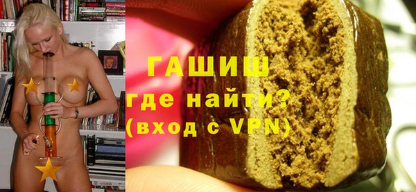 гашик Алексин