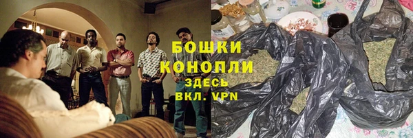 гашик Алексин