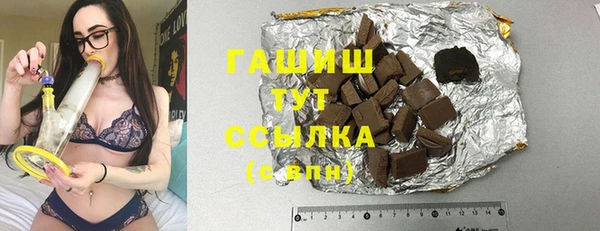 гашик Алексин